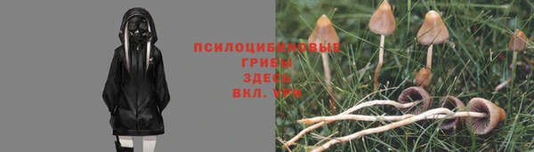 прущие грибы Алексеевка