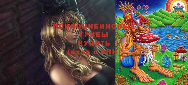 прущие грибы Алексеевка