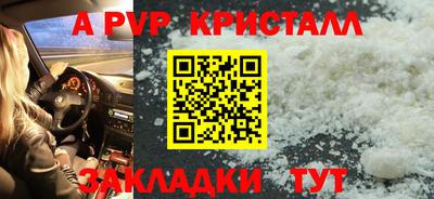 ешки Кингисепп