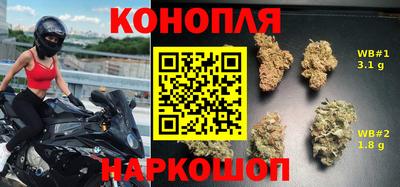 ешки Кингисепп
