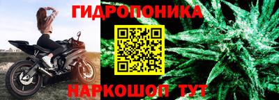ешки Кингисепп