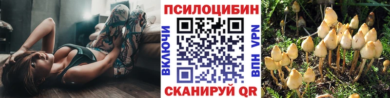 Псилоцибиновые грибы мицелий  Красногорск 